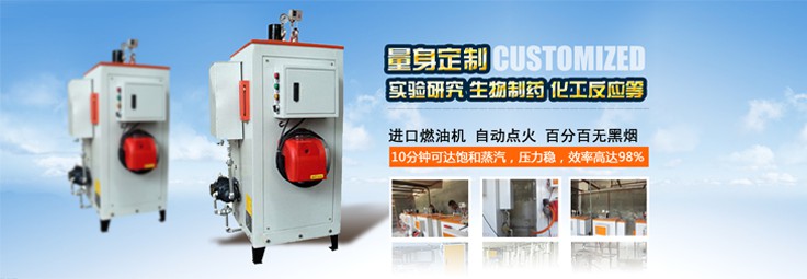 燃油蒸汽發(fā)生器 燃油蒸汽發(fā)生器