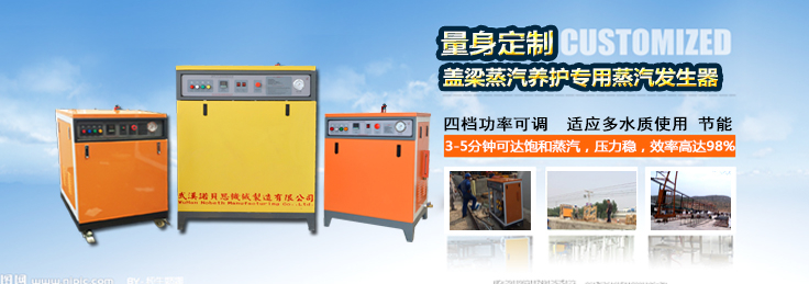 路橋養(yǎng)護蒸汽發(fā)生器 路橋養(yǎng)護蒸汽發(fā)生器