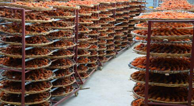 柿餅烘干蒸汽發(fā)生器 柿餅烘干蒸汽發(fā)生器